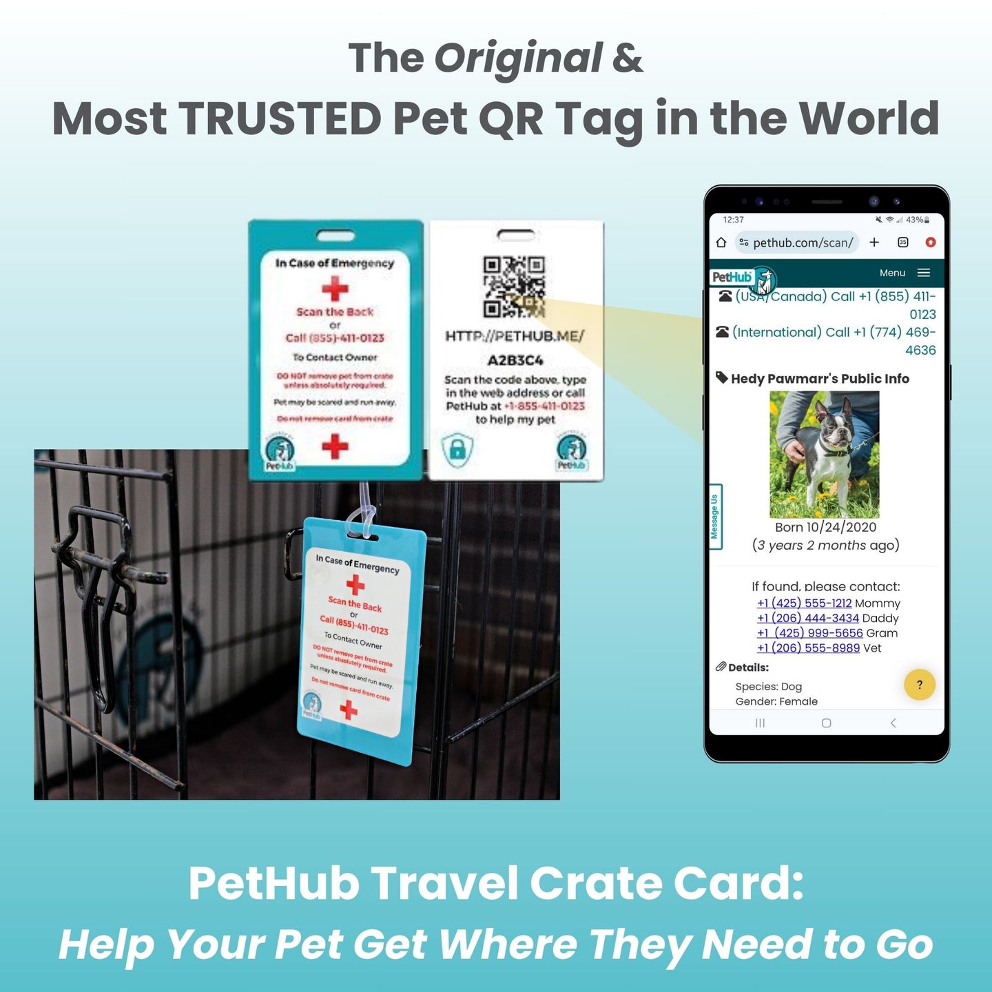 QR Pet Identification: Travel Crate Card