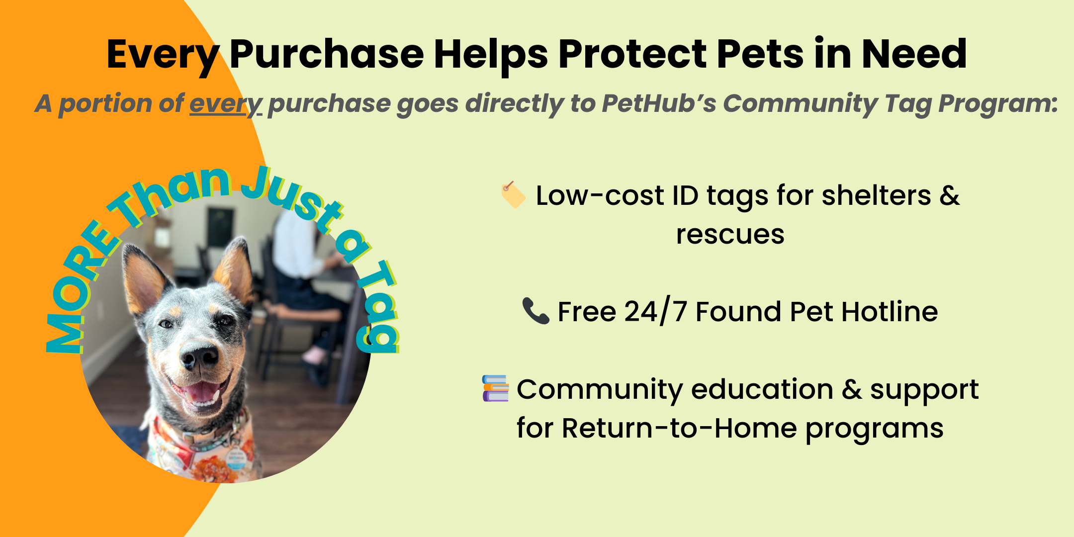 Helping_Shelters_e266d29b-2d40-4d03-b7f9-81a5f16bb3b5.png