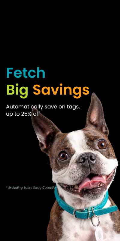 Mobile_View_Fetch_Big_Savings_Slide_1_e058f740-558c-40a3-a7db-a39dd5fbcef9.png