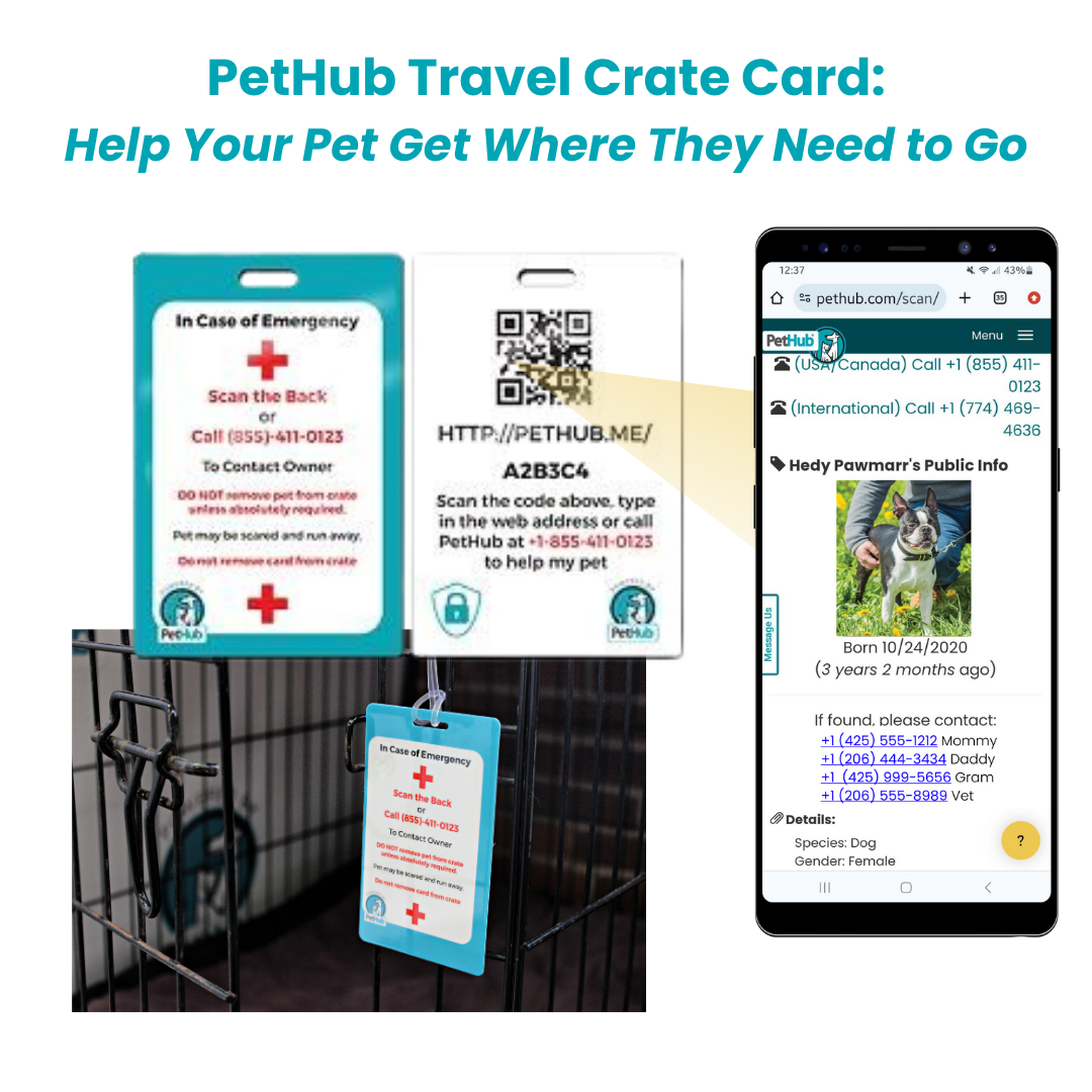 PetHub QR Pet ID Comprehensive ReadyKit β Complete Emergency Kit