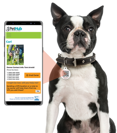PetHub QR Pet ID Tag – Classic Aluminum