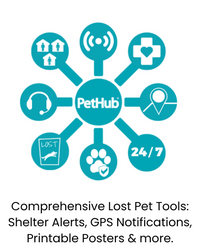 QR ID Pet Tag - Absent Without a Leash (AWOL)