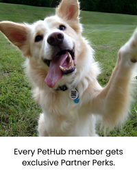 QR Pet Comprehensive Identification: ReadyKit