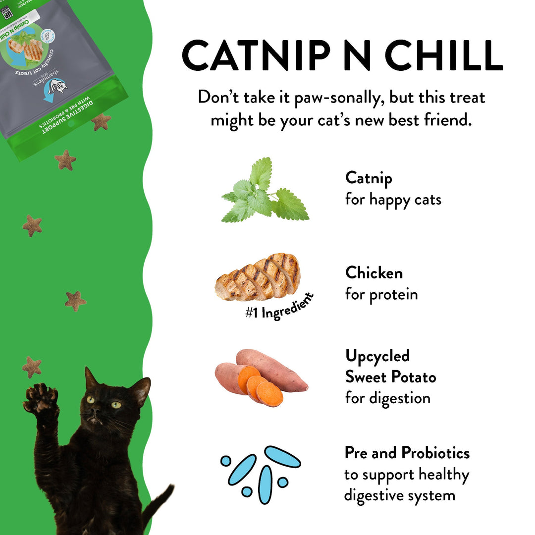 Catnip Crunchy Cat Treats Variety Pack - 4 Pack