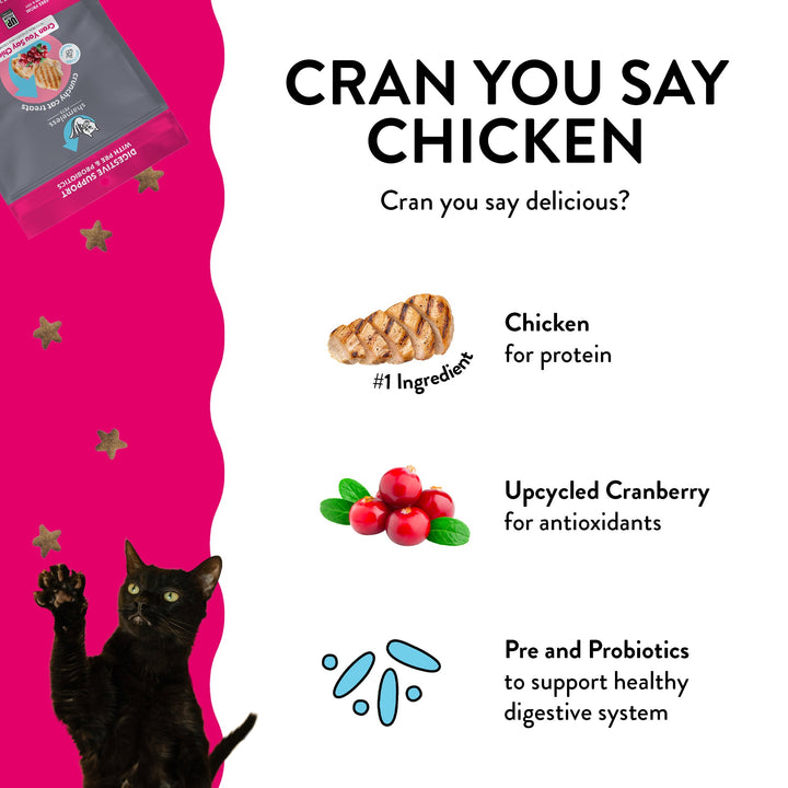 Chicken Crunchy Cat Treats Variety Pack