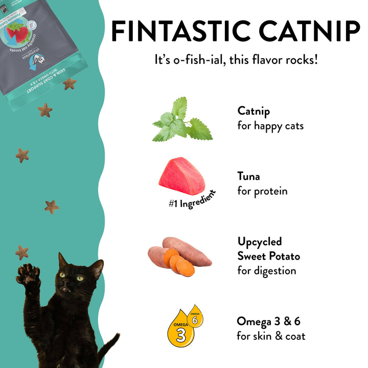 Catnip Crunchy Cat Treats Variety Pack - 4 Pack