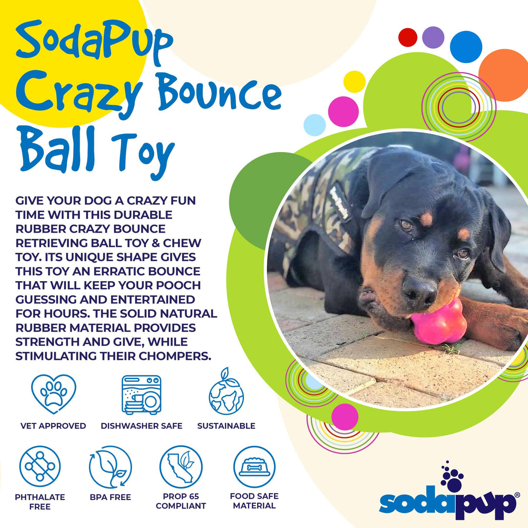 Crazy Bounce Ultra Durable Rubber Chew & Retrieving Toy