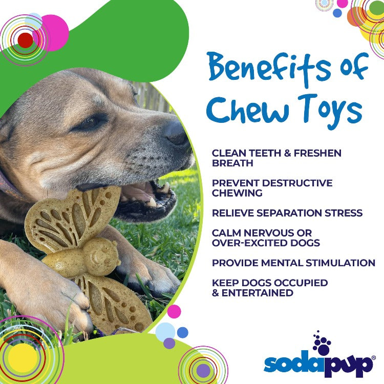 Butterfly Durable Nylon Chew and Enrichment Toy