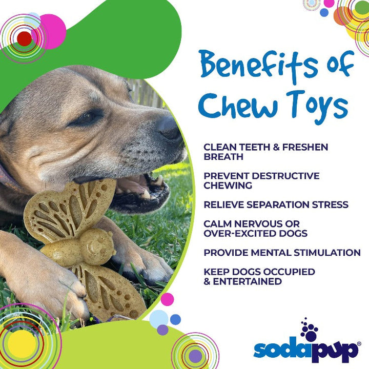 Butterfly Durable Nylon Chew and Enrichment Toy