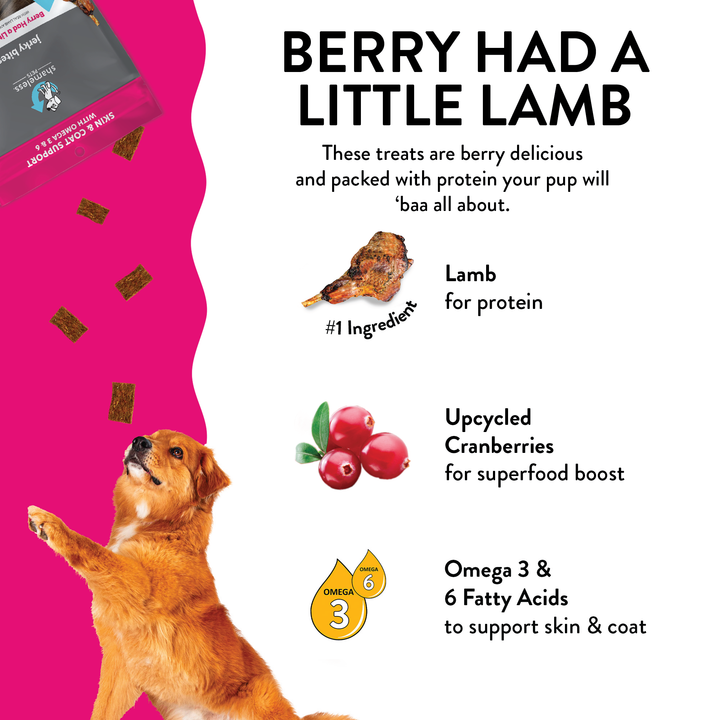 Berry Had a Little Lamb Jerky Bites for Dogs