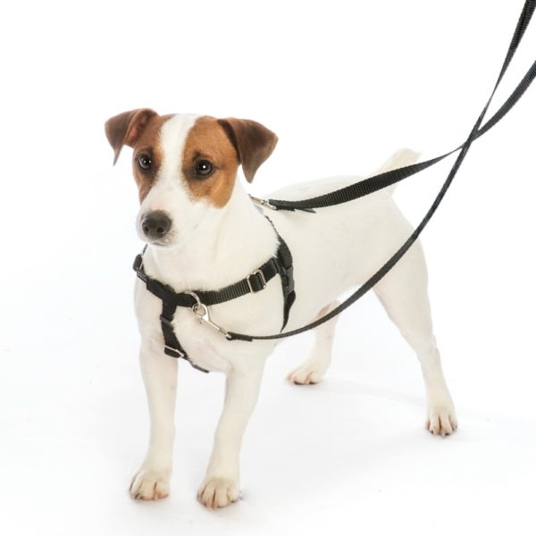 Archie Loves Mud Freedom No-Pull Dog Harness – EarthStyle