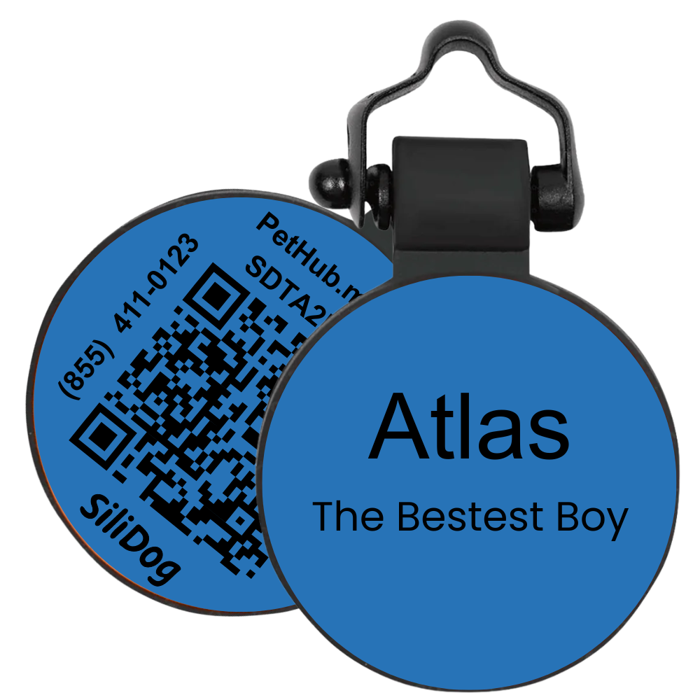 PetHub Silicone Silent Glow-in-the-Dark Blue Tag