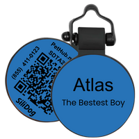 PetHub Silicone Silent Glow-in-the-Dark Blue Tag