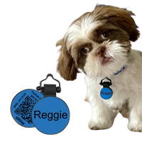 PetHub Silicone Silent Glow-in-the-Dark Blue MiniTag