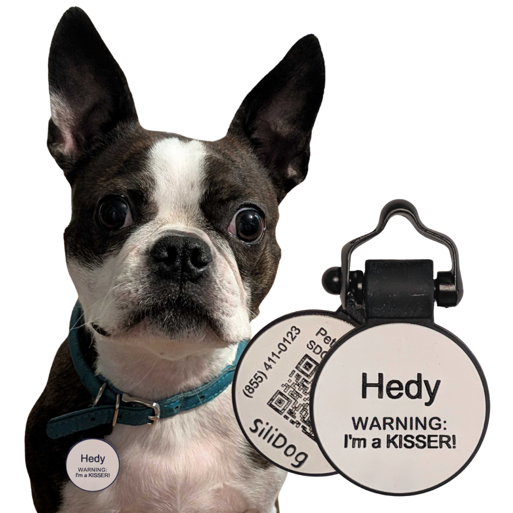 PetHub Silicone Silent Glow-in-the-Dark White Tag