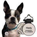 PetHub Silicone Silent Glow-in-the-Dark White Tag