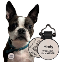 PetHub Silicone Silent Glow-in-the-Dark White Tag