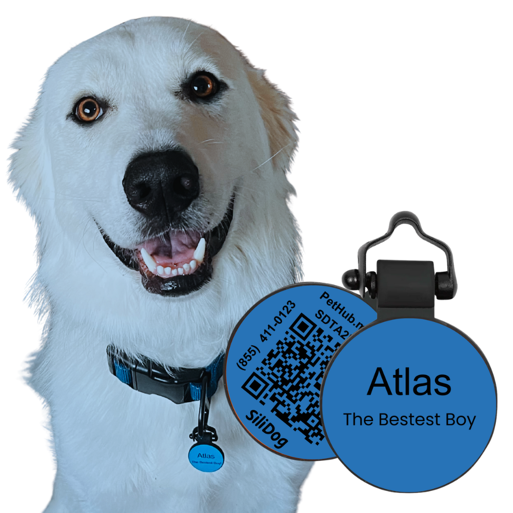 PetHub Silicone Silent Glow-in-the-Dark Blue Tag