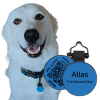 PetHub Silicone Silent Glow-in-the-Dark Blue Tag