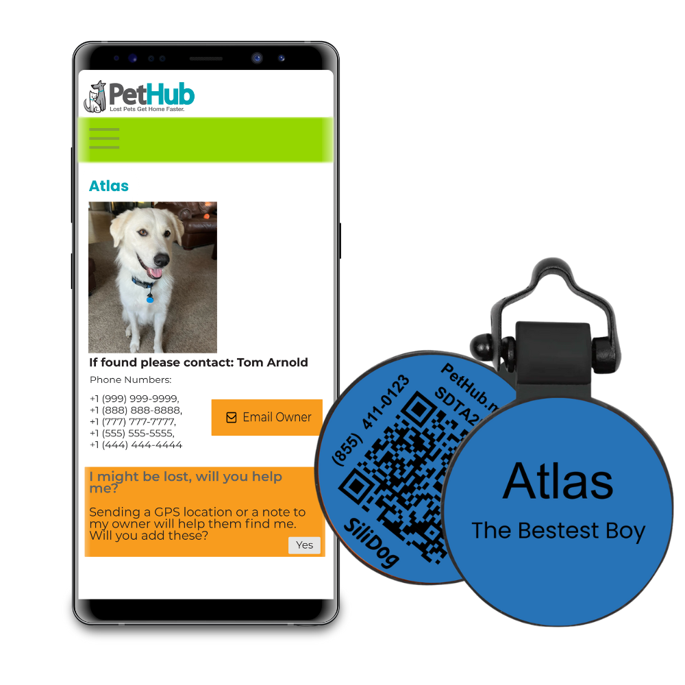 PetHub Silicone Silent Glow-in-the-Dark Blue Tag