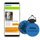 PetHub Silicone Silent Glow-in-the-Dark Blue Tag