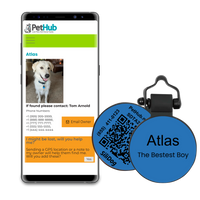 PetHub Silicone Silent Glow-in-the-Dark Blue Tag