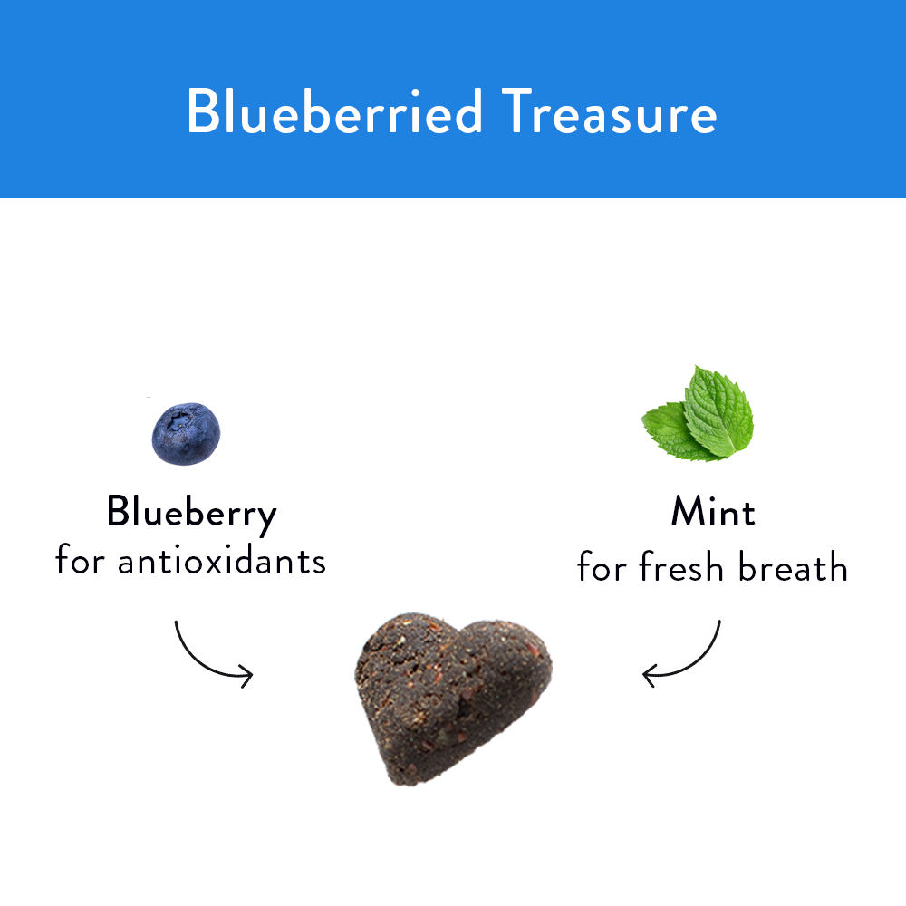 Blueberried Treasure Soft Baked