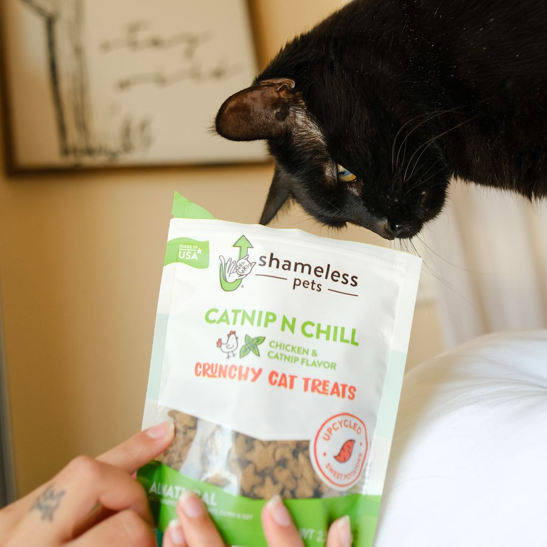 Catnip N Chill 2-pack