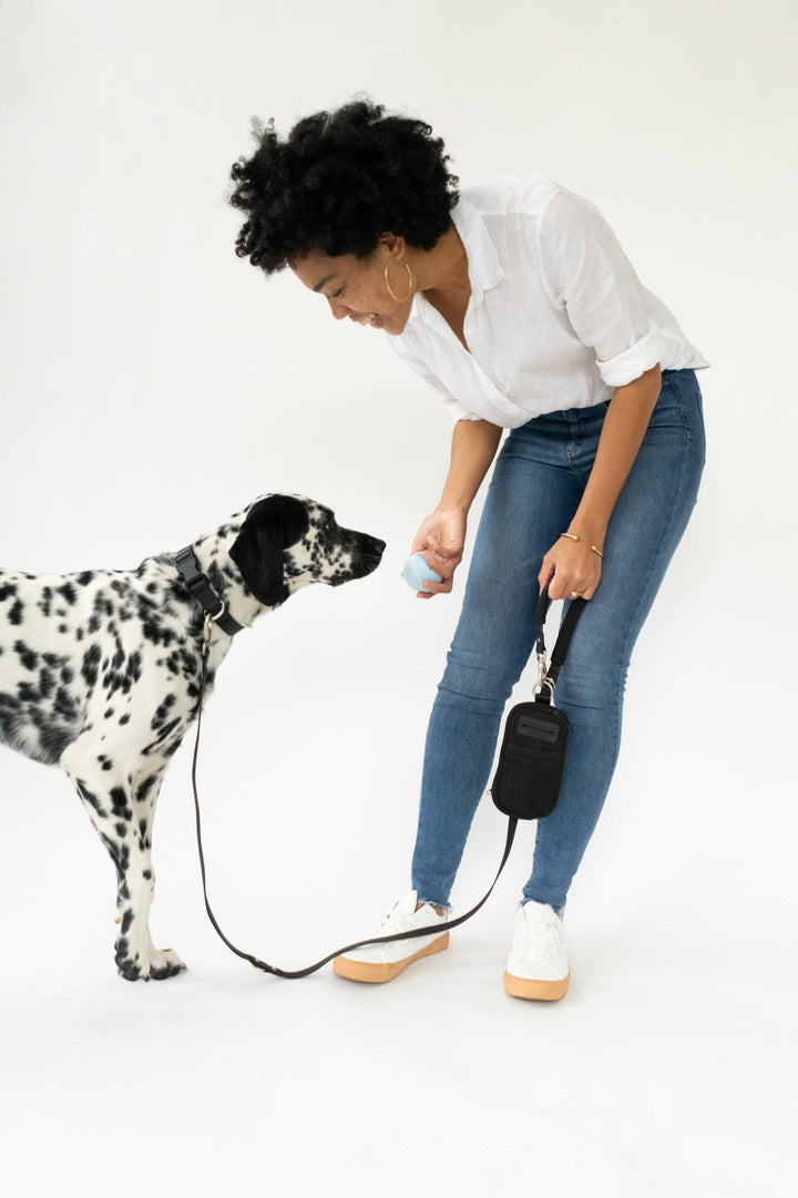 Walk Bag + Small Dog Leash