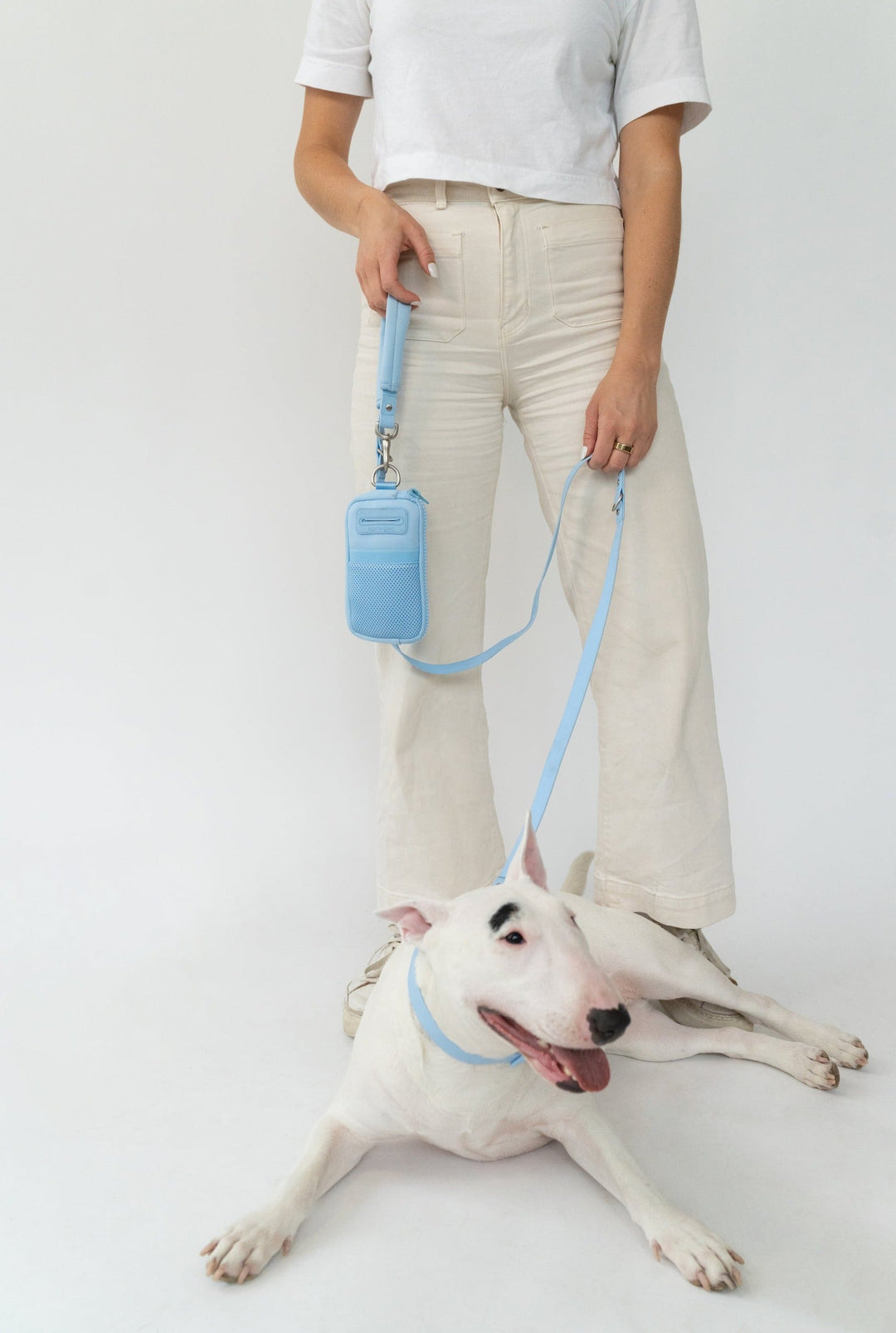 Walk Bag + Dog Leash