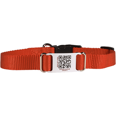 QR ID Pet Collar - dogids: ScruffTag Collar (QR Nylon Collar with Easy-Release Buckle)