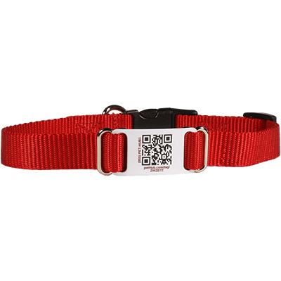 QR ID Pet Collar - dogids: ScruffTag Collar (QR Nylon Collar with Easy-Release Buckle)