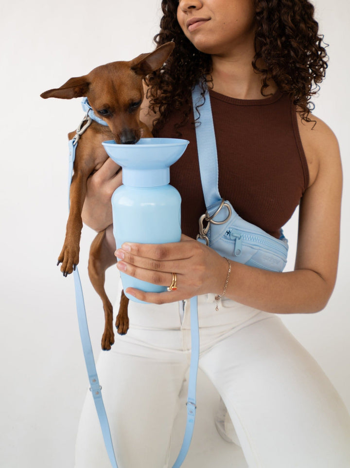 Classic Dog Travel Bottle (22 OZ)