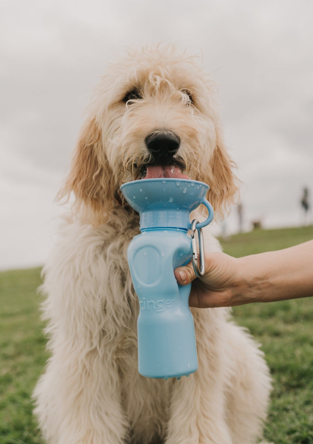 Classic Dog Travel Bottle (22 OZ)