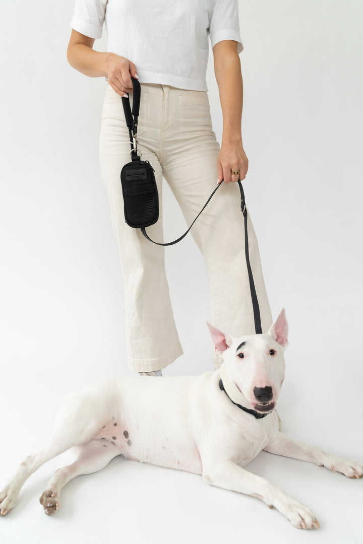 Walk Bag + Small Dog Leash