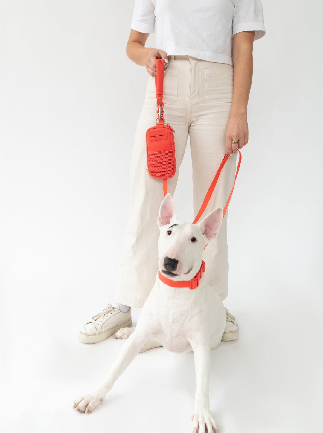 Walk Bag + Small Dog Leash