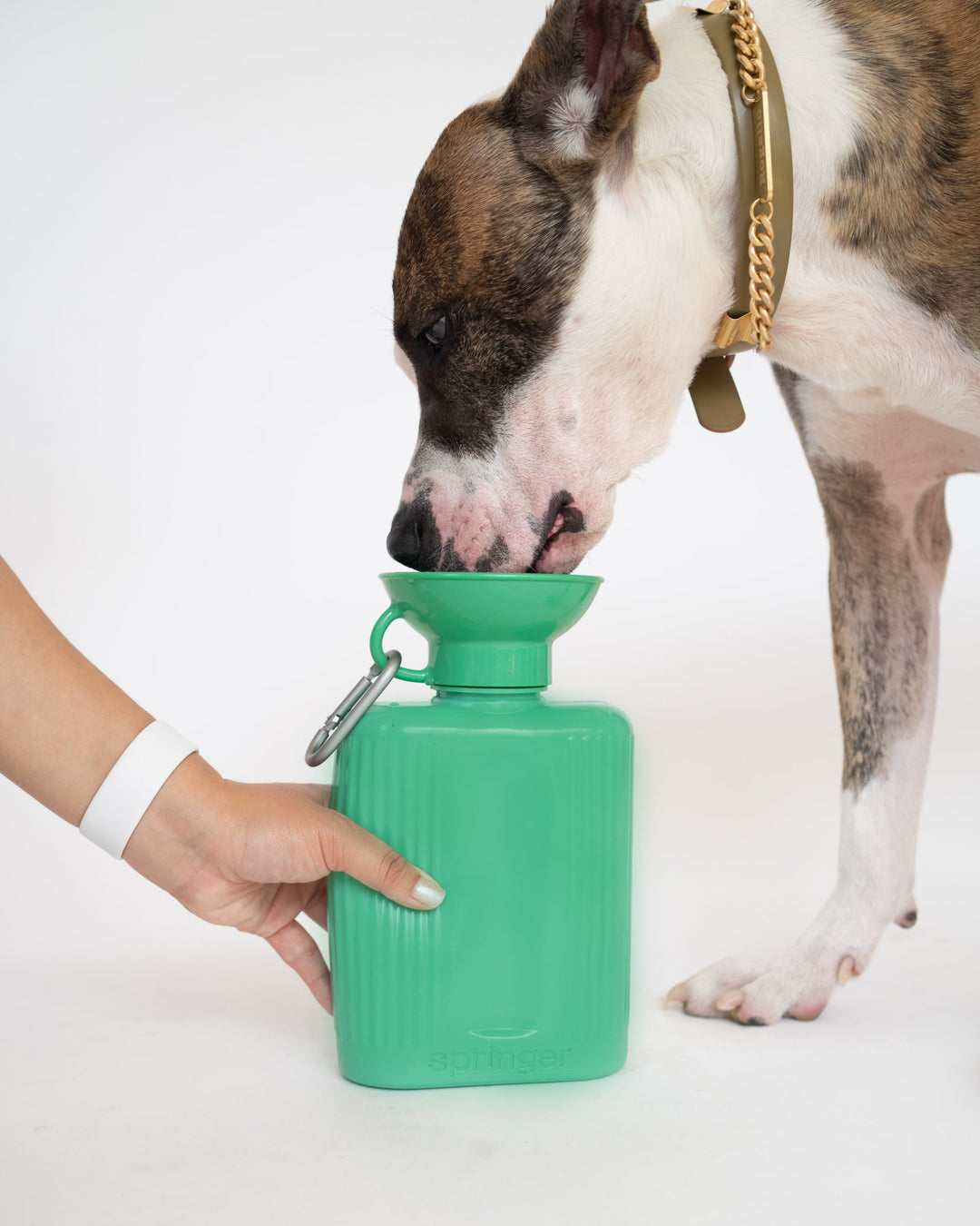 Growler Dog Travel Bottle (44 OZ)