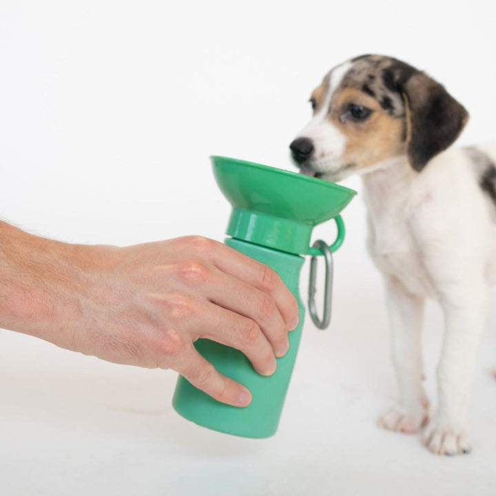 Mini Dog Travel Bottle (15 OZ)