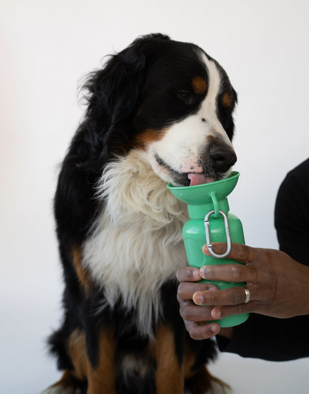 Classic Dog Travel Bottle (22 OZ)