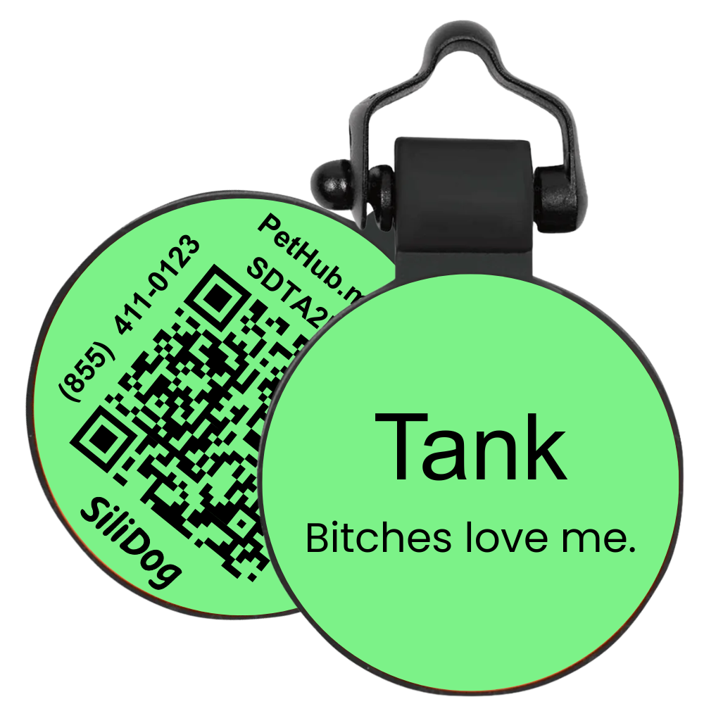 PetHub Silicone Silent Glow-in-the-Dark Green Tag