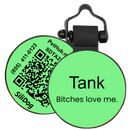 PetHub Silicone Silent Glow-in-the-Dark Green Tag
