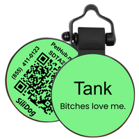 PetHub Silicone Silent Glow-in-the-Dark Green Tag