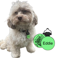 PetHub Silicone Silent Glow-in-the-Dark Green MiniTag