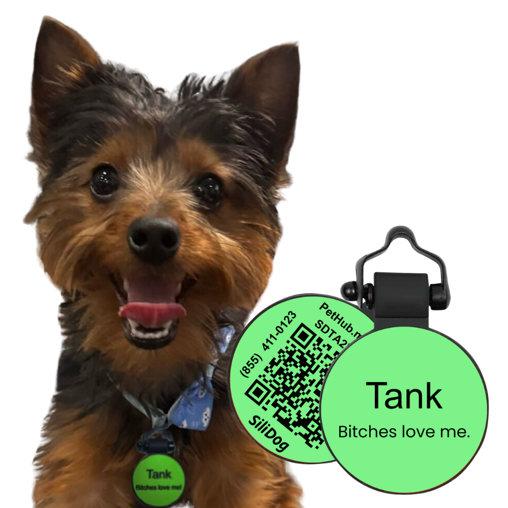 PetHub Silicone Silent Glow-in-the-Dark Green Tag
