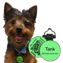 PetHub Silicone Silent Glow-in-the-Dark Green Tag