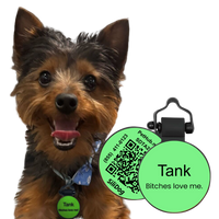 PetHub Silicone Silent Glow-in-the-Dark Green Tag