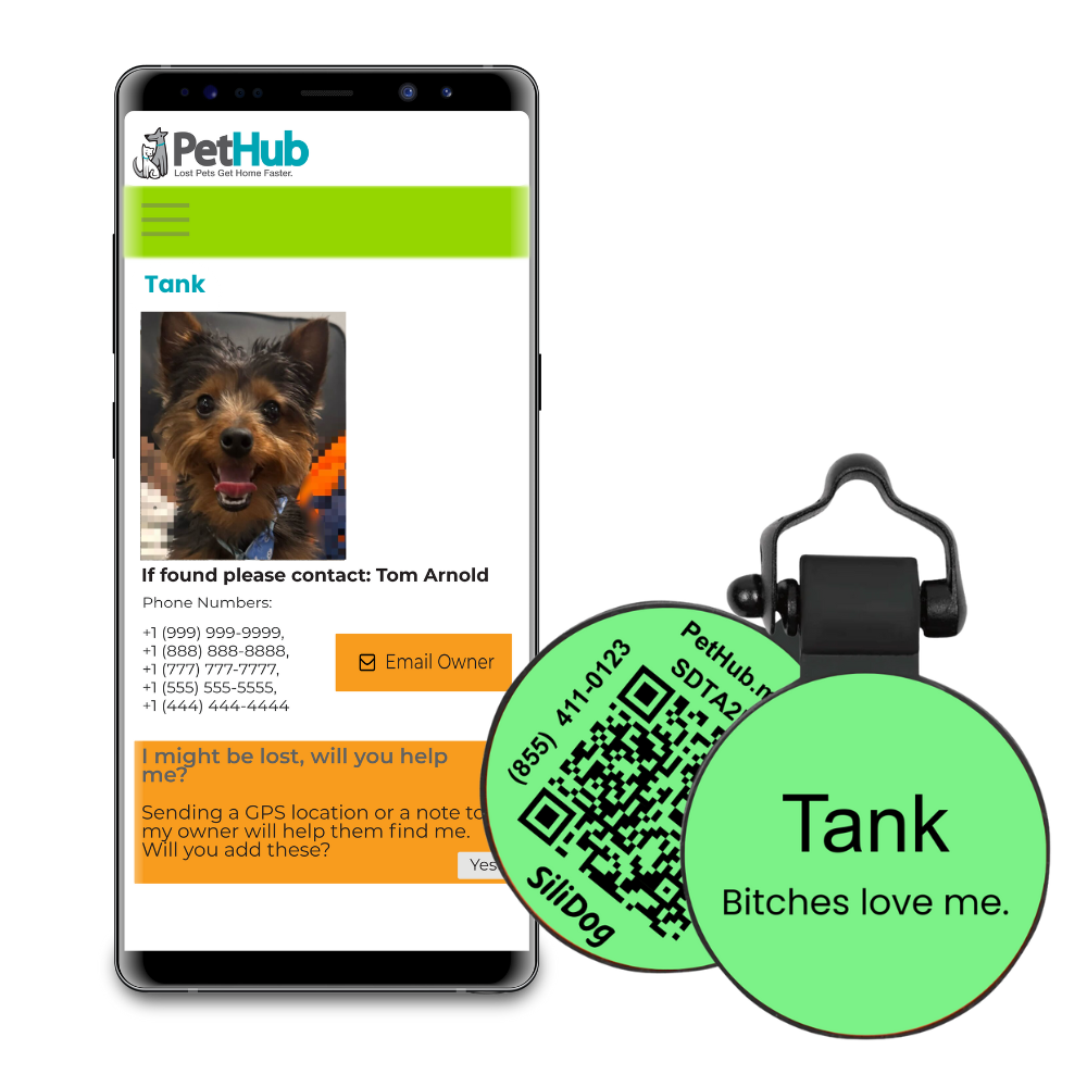 PetHub Silicone Silent Glow-in-the-Dark Green MiniTag