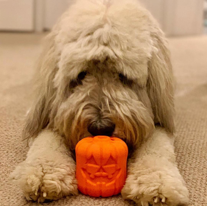 Jack O' Lantern Durable Rubber Chew Toy & Treat Dispenser