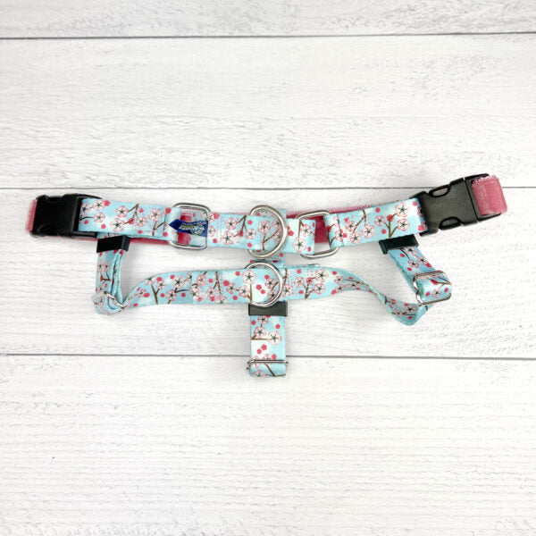 **BUNDLE!** Cherry Blossoms Blue Freedom No-Pull Harness & More!