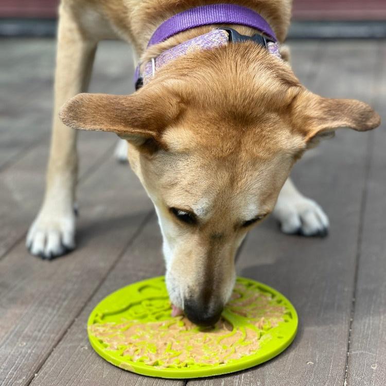 Tree of Life eMat Enrichment Lick Mat With Suction Cups